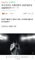 2026년 1월 5일 (월) 19:16 판의 섬네일