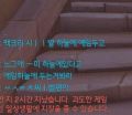 2026년 1월 5일 (월) 19:11 판의 섬네일