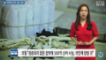 2026년 1월 5일 (월) 19:22 판의 섬네일