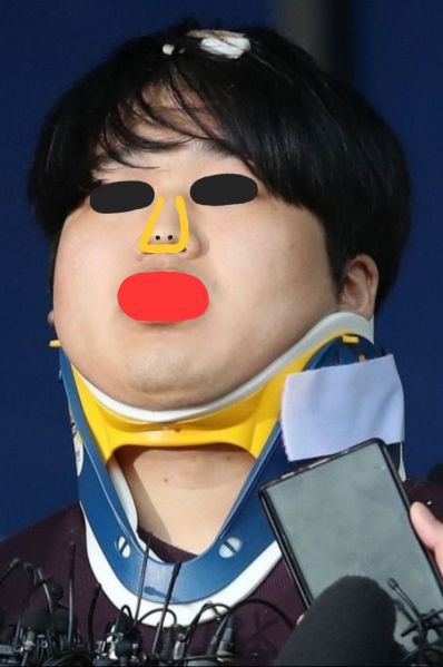 파일:똥인가면상인가.jpg