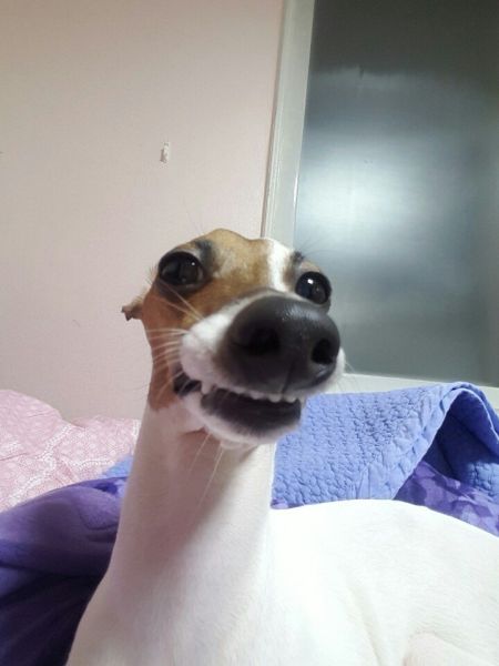 파일:1541497314.jpg