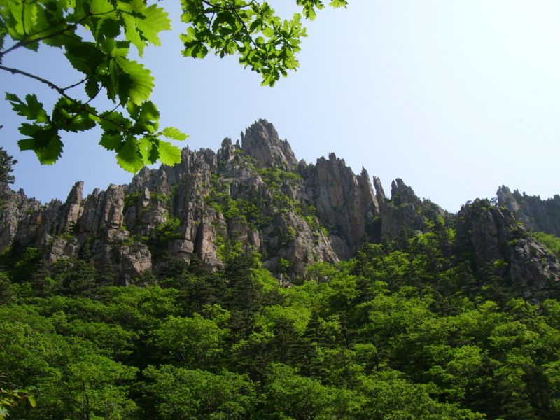 파일:금강산여름.jpg