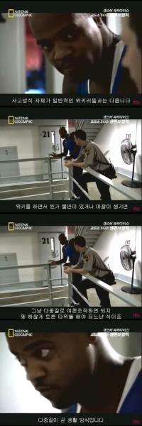 파일:ㅁㅇㅌ+ㅎㄹㅈ.png