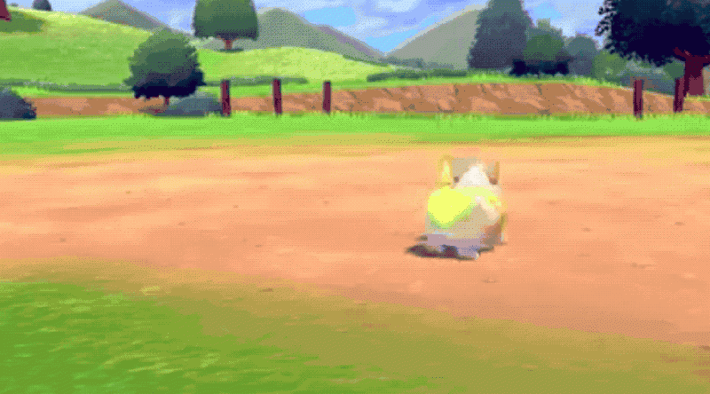 파일:멍파치 꼬리흔들기.gif