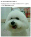 2026년 1월 5일 (월) 19:14 판의 섬네일
