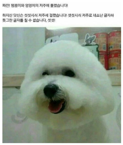 파일:세소세소섯숫시.PNG