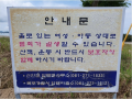 2026년 1월 5일 (월) 19:09 판의 섬네일