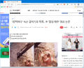 2026년 1월 5일 (월) 19:20 판의 섬네일