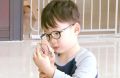 2026년 1월 5일 (월) 19:15 판의 섬네일