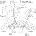 2026년 1월 5일 (월) 19:21 판의 섬네일