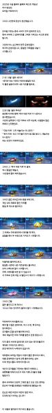 파일:카러플오류한짤요약.jpg