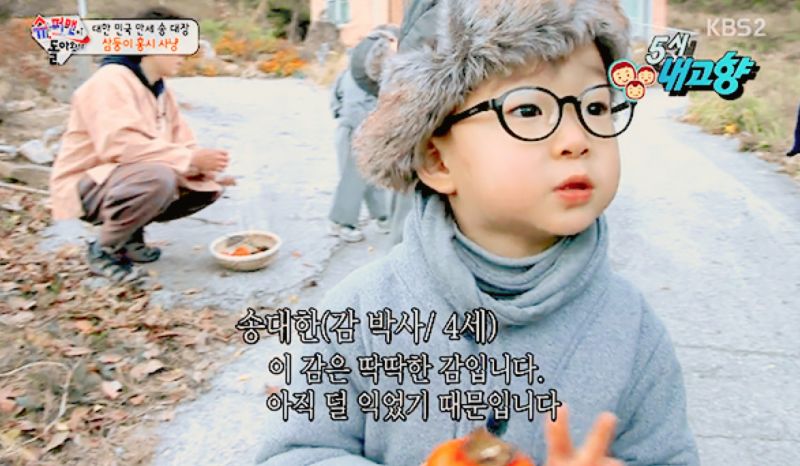 파일:Dyan7.jpg