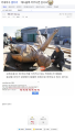 2026년 1월 5일 (월) 19:18 판의 섬네일