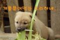 2026년 1월 5일 (월) 19:08 판의 섬네일
