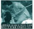 2026년 1월 5일 (월) 19:16 판의 섬네일