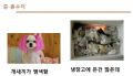 2026년 1월 5일 (월) 19:08 판의 섬네일