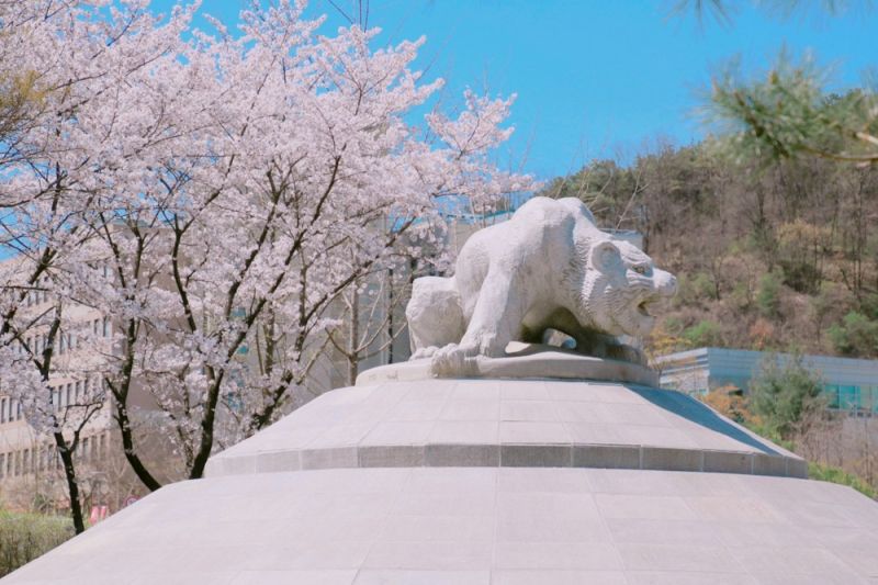 파일:세종호상.jpg