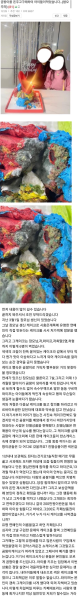 파일:솔비 곰팡이 케이크.png