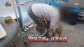 2026년 1월 5일 (월) 19:22 판의 섬네일