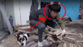2026년 1월 5일 (월) 19:22 판의 섬네일
