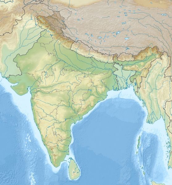 파일:India relief location map.jpg