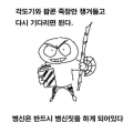 2026년 1월 5일 (월) 19:08 판의 섬네일