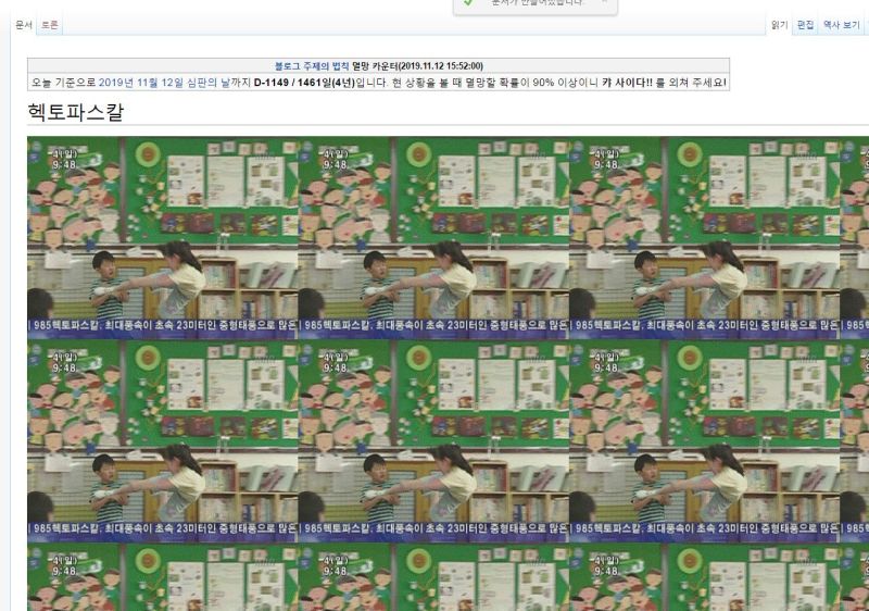 파일:리센티아반달2.jpg