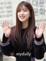 2026년 1월 5일 (월) 19:07 판의 섬네일