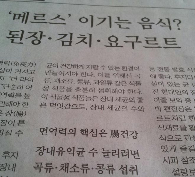 파일:갓김치.jpg