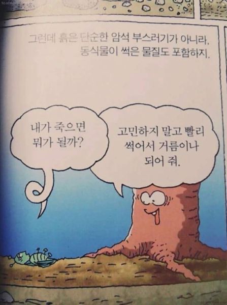 파일:나무인성.jpg